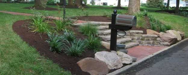 professional landscape maintenance