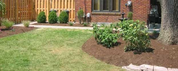 licensed and insured landscape professionals